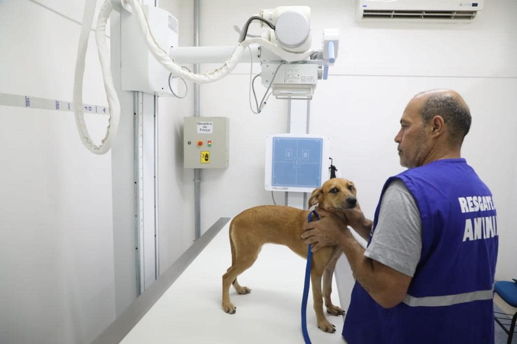 Alvará de Funcionamento para Clínica Veterinária com Raio-X e Tomógrafo